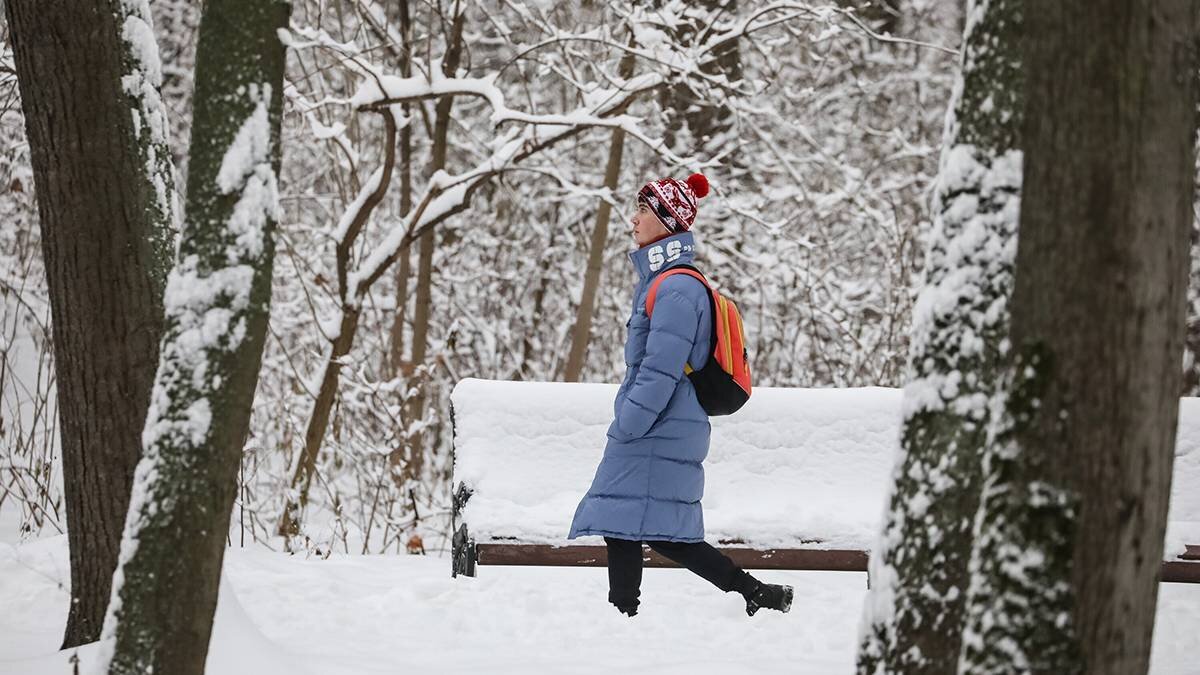 москва ждет февраль