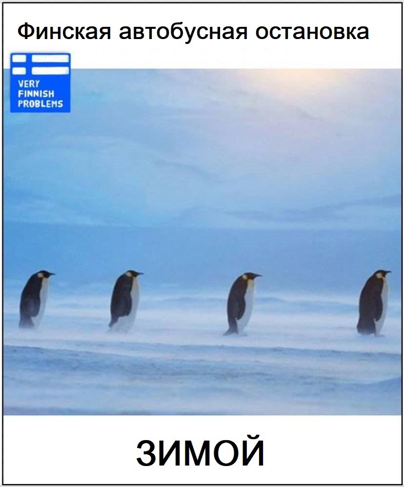 Оригинал изображения: Very Finnish Problems
