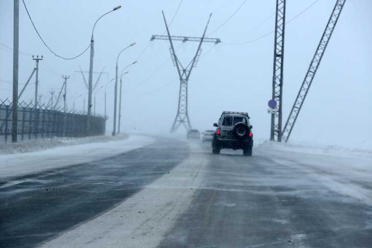    Фото Алексея Танюшина из архива VN.ru