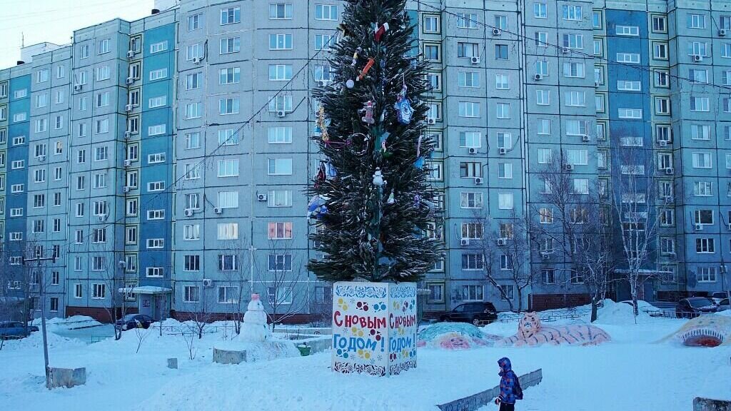     Конкурс проходит во всех районах города. Районные комиссии занимаются осмотром придомовых территорий.