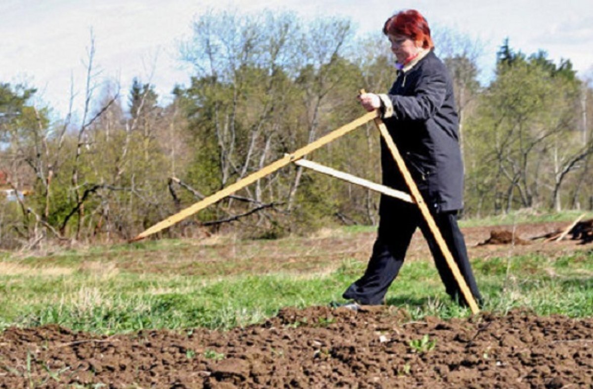    23 из 43 районов Татарстана выполнили план по передаче земли многодетным