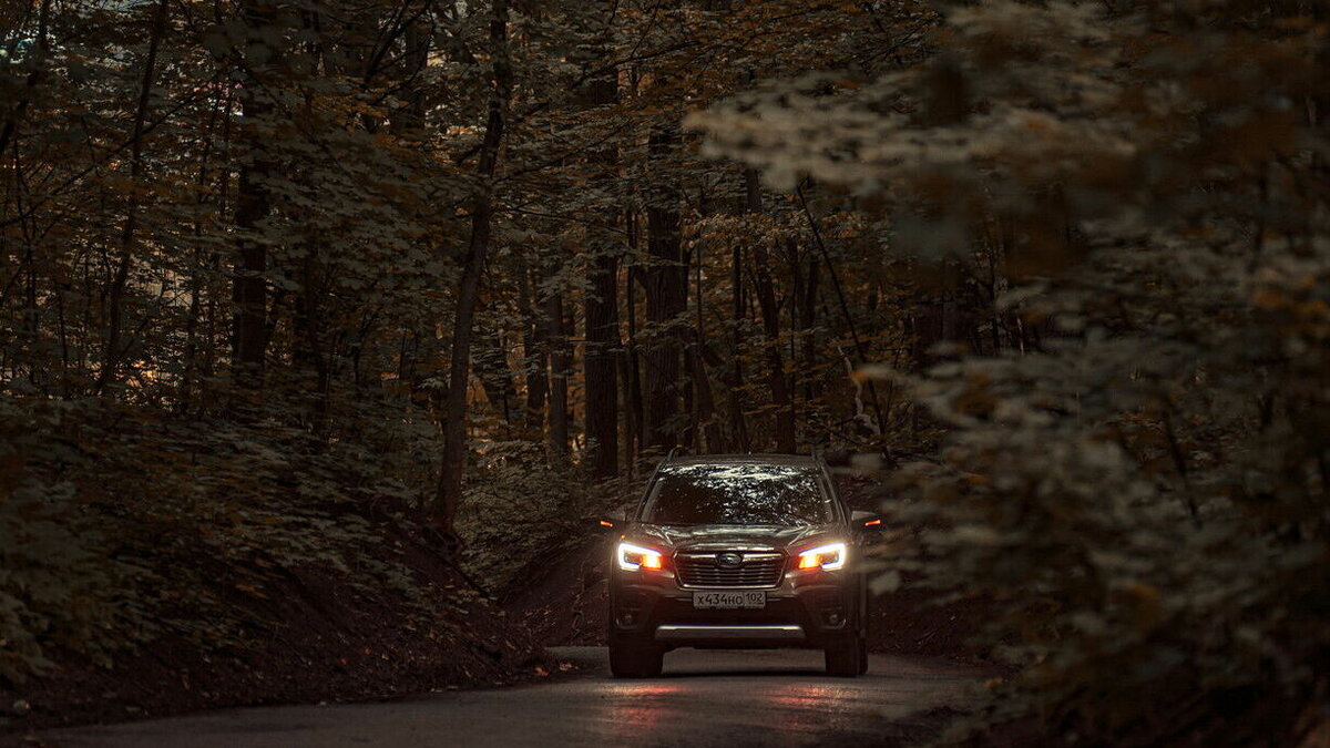     Проданы были иномарки Toyota Land Cruiser 150 (Prado) 2014 года выпуска и Skoda Kodiaq Style Plus 1.4 TSI 2018 года.