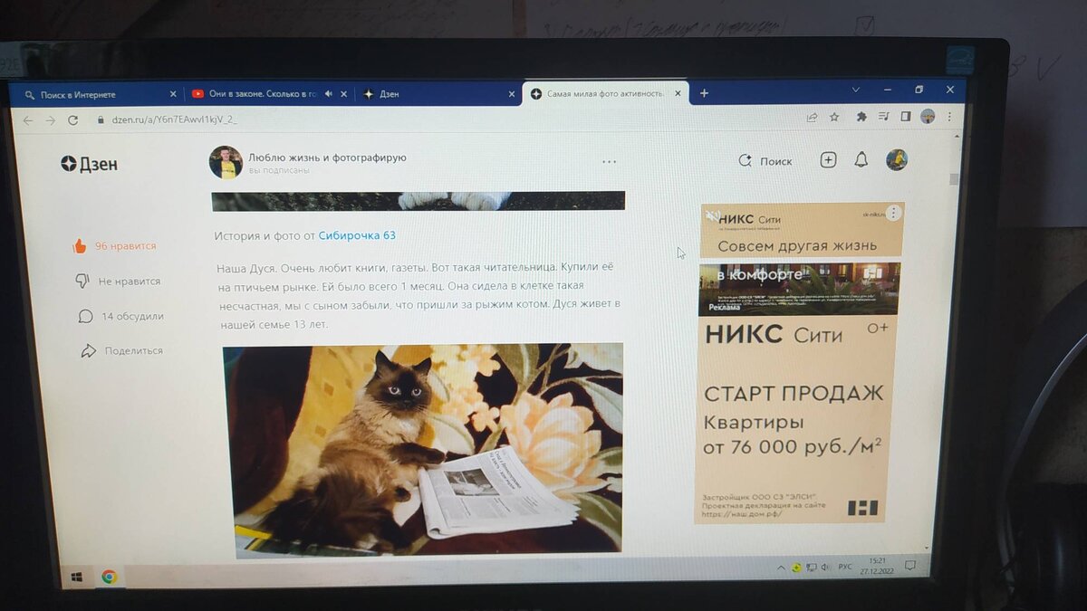 Это фотография с конкурса. Наша кошечка Дуся.