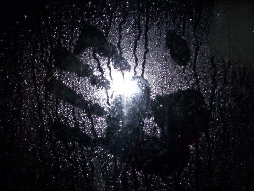 Изображение из интернета. 