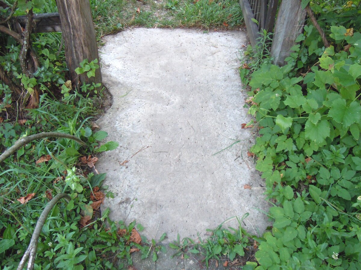 4 сентября 2014 года Теперь о другом. Сейчас на самой восточной Богатырской поляне работают лесозаготовители. Ниже показаны результаты их деятельности.-10