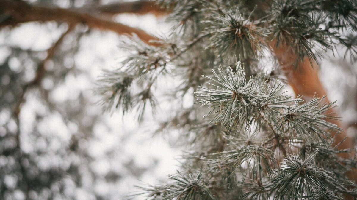     Из-за генплана земельные участки жителей Красноярки оказались за пределами населенного пункта.