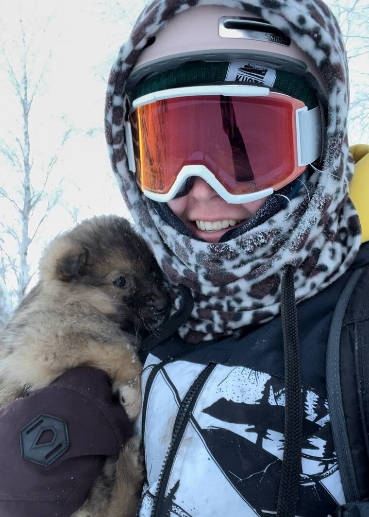    Спасение щенков на горнолыжном курорте Губаха telegram-канал «Мой город — Пермь»