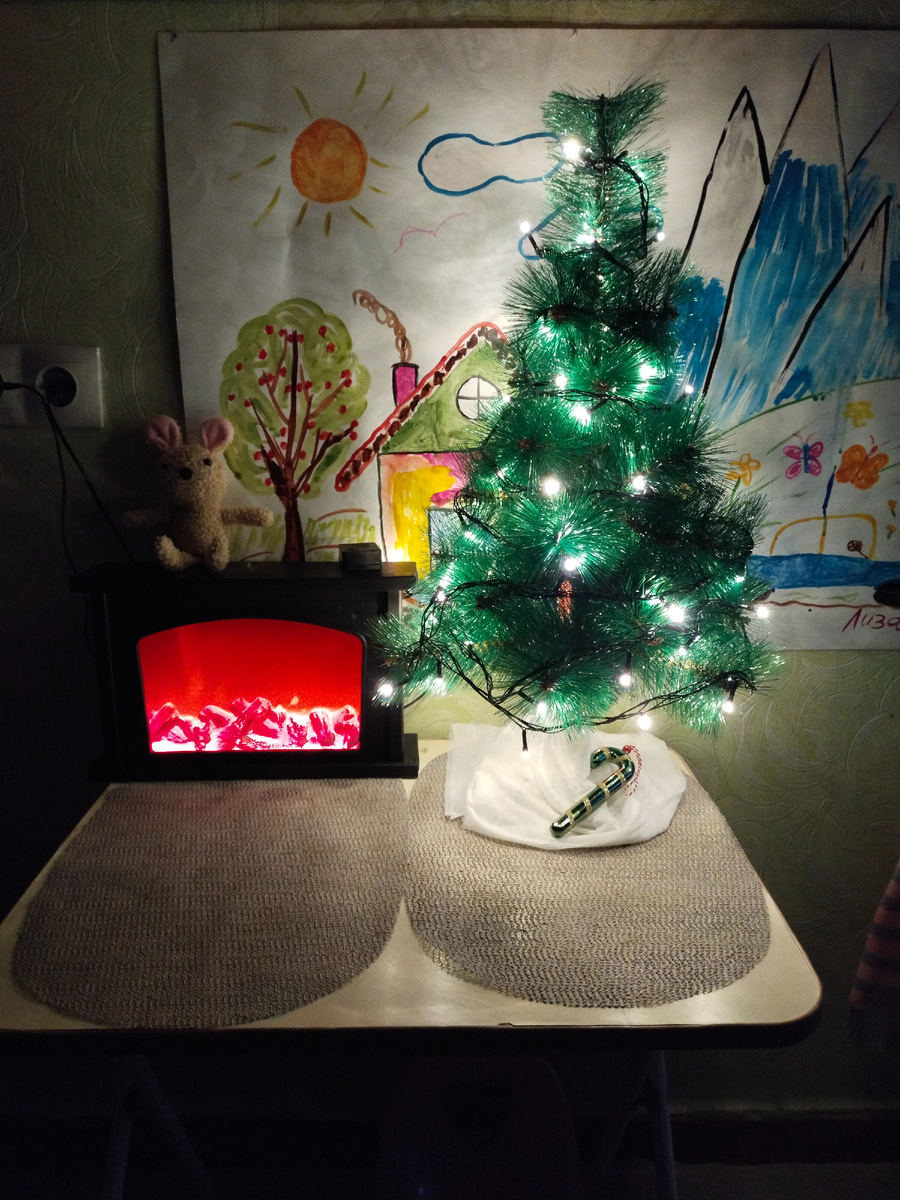 Всех с новым годом, желаю вам всем здоровья, любви и мирного неба. Мы встретили новый год только своей семьёй. В этом году гостей не приглашали так как все слегли с гриппом. Но не будем о плохом и грустном, просто смотрите фото которые успели сделать до болезни.