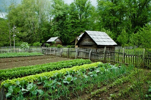 Планирование посадок  предстоящего сезона     