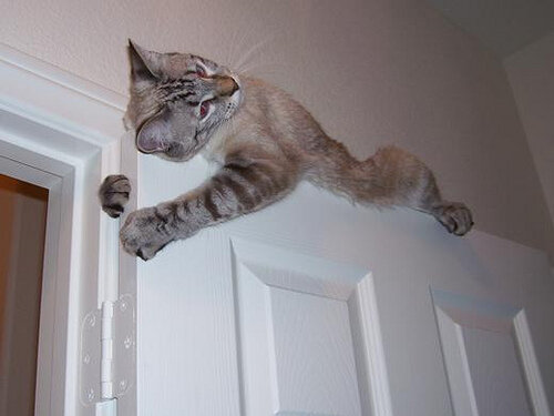 Фото из Интернета. 