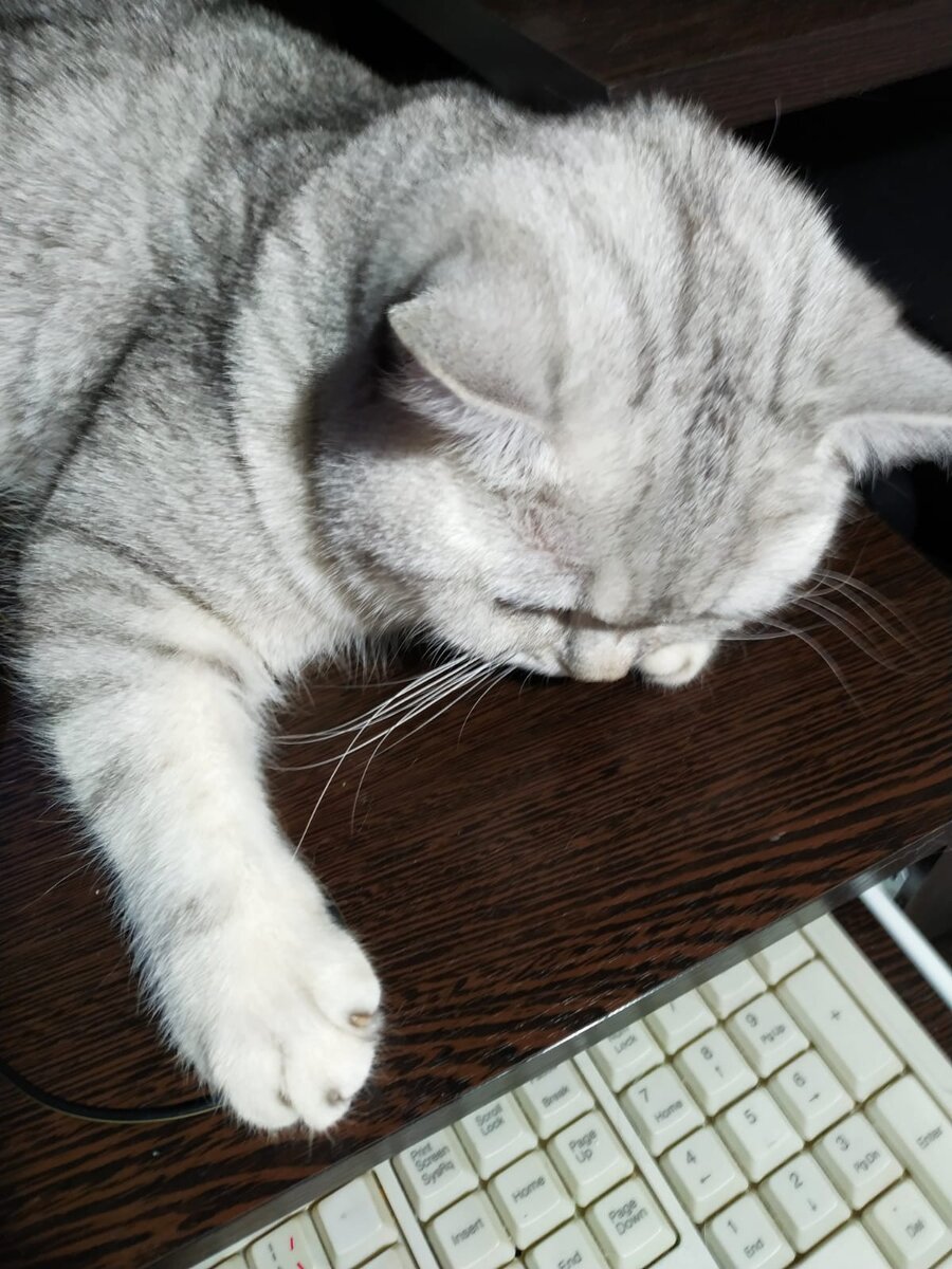 Пишу мемуары