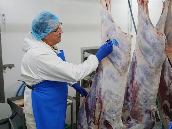     Фото: vk.com Иван Сакал