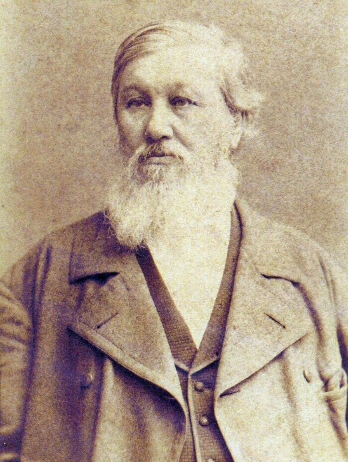 
Николай Яковлевич Данилевский. Источник: ru.wikipedia.org
