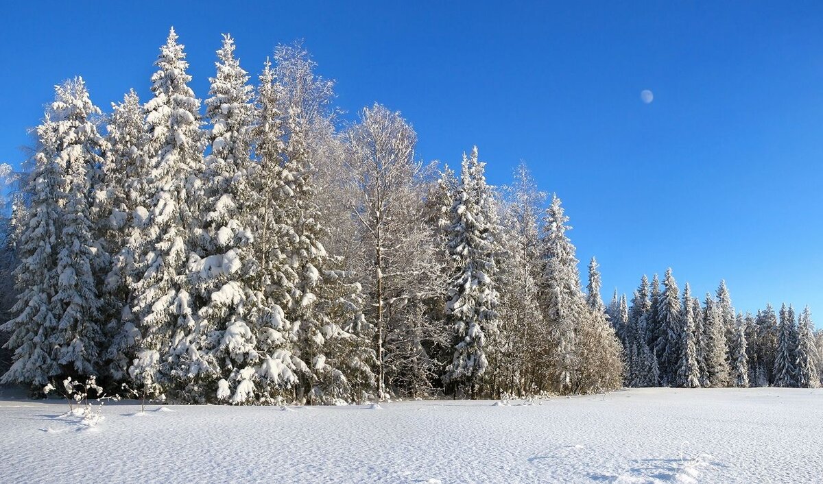 Русская зима глазами приезжей из Узбекистана. Фото сделано мной