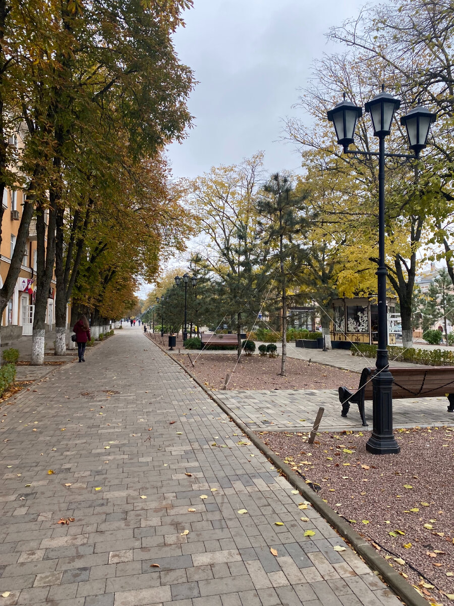 Петровский бульвар 