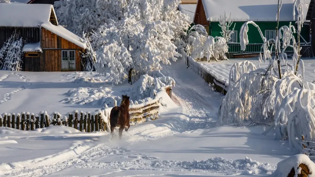 В праздник обязательно нужно проявлять свою щедрость. Фото: pxhere.com