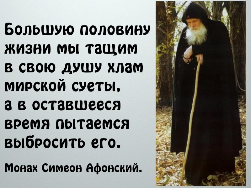 Смотрю как деревья растут все суетишься картинка