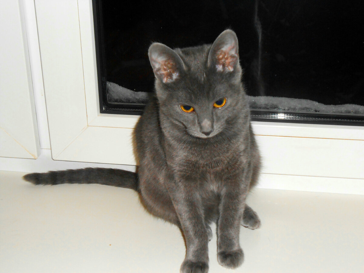 фото маленькой Кэтти