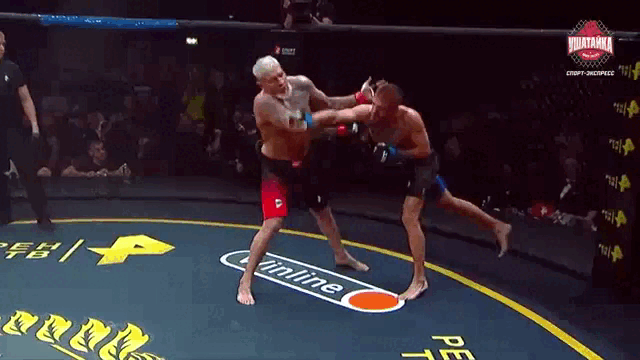 Блогер роняет Емельяненко