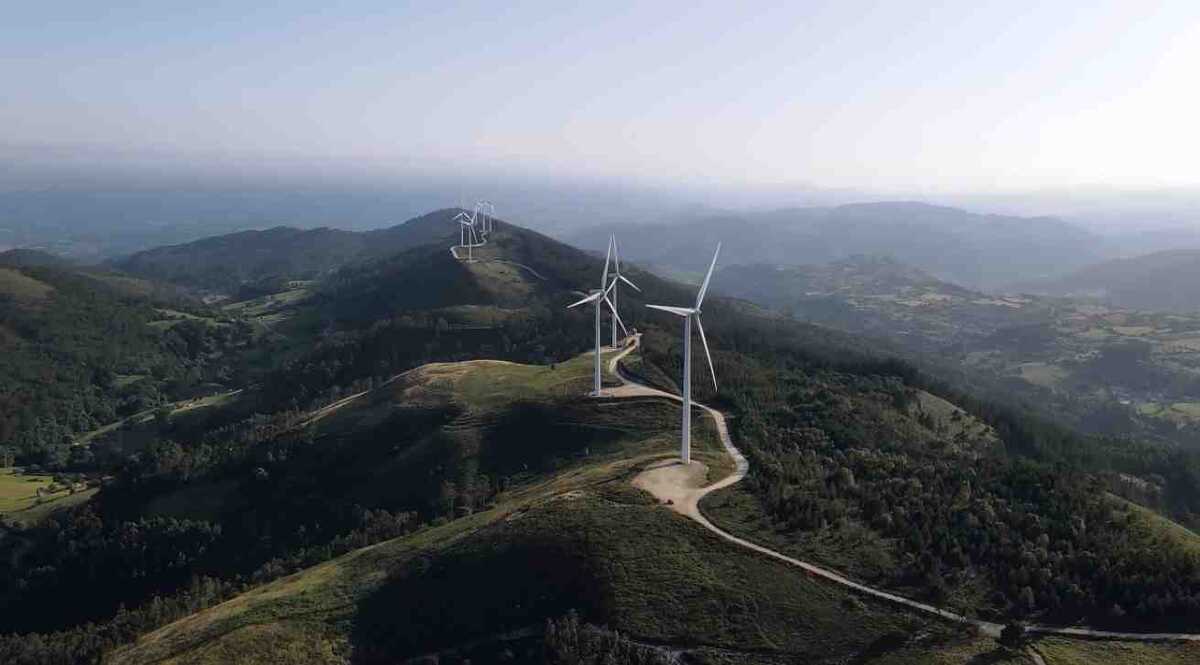 картинка автора