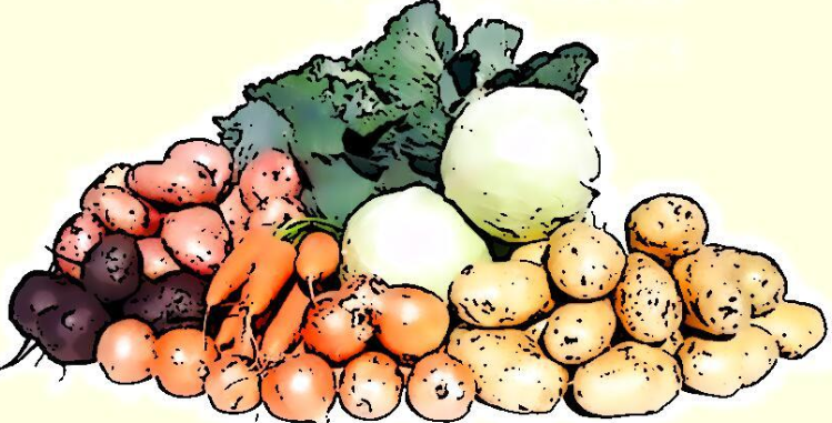 фото из интернета