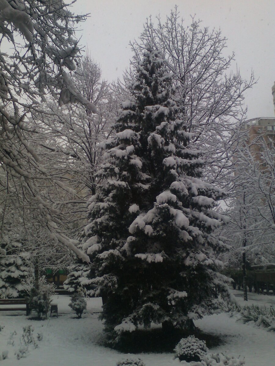 Фото автора.