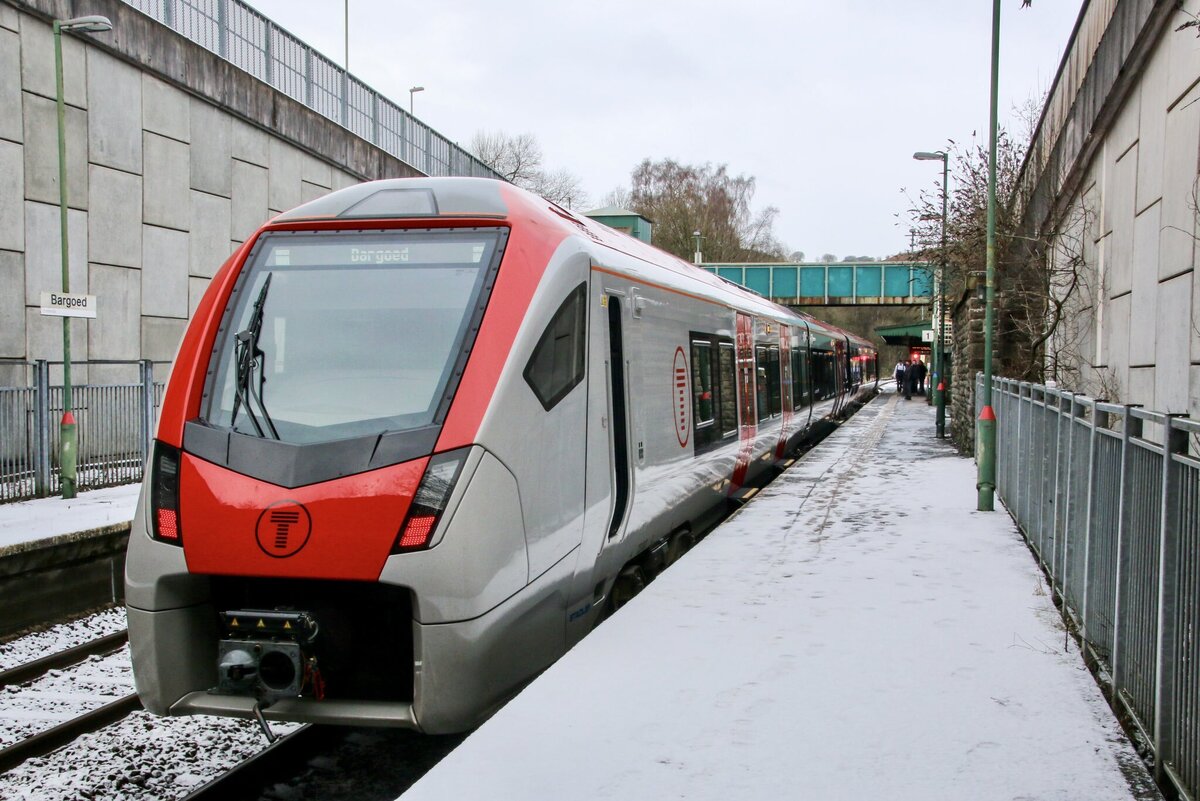 Дизель-поезд Stadler FLIRT класса 231 в Баргойде. Источник: Buzz/twitter
