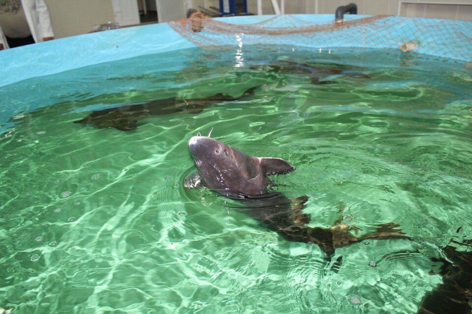     Фото: областная администрация.