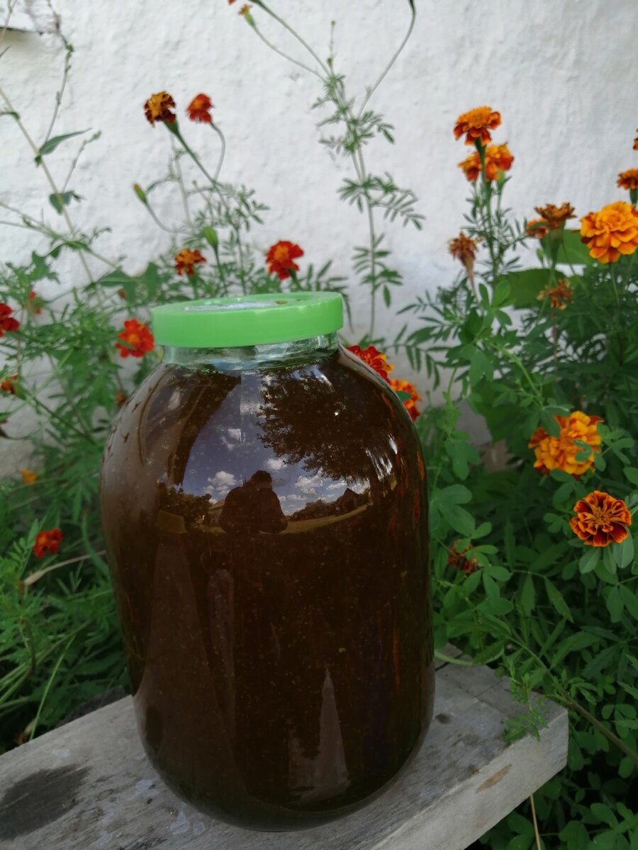 гречишный мед