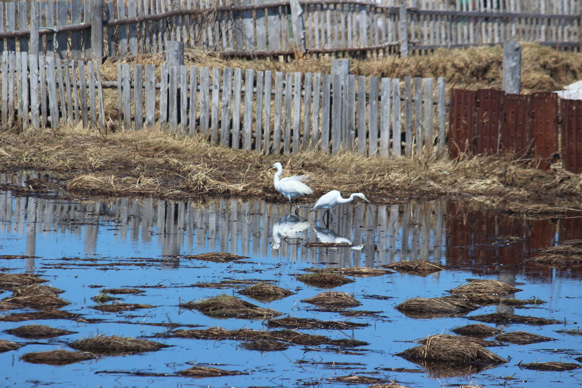 Фото В. Тарико