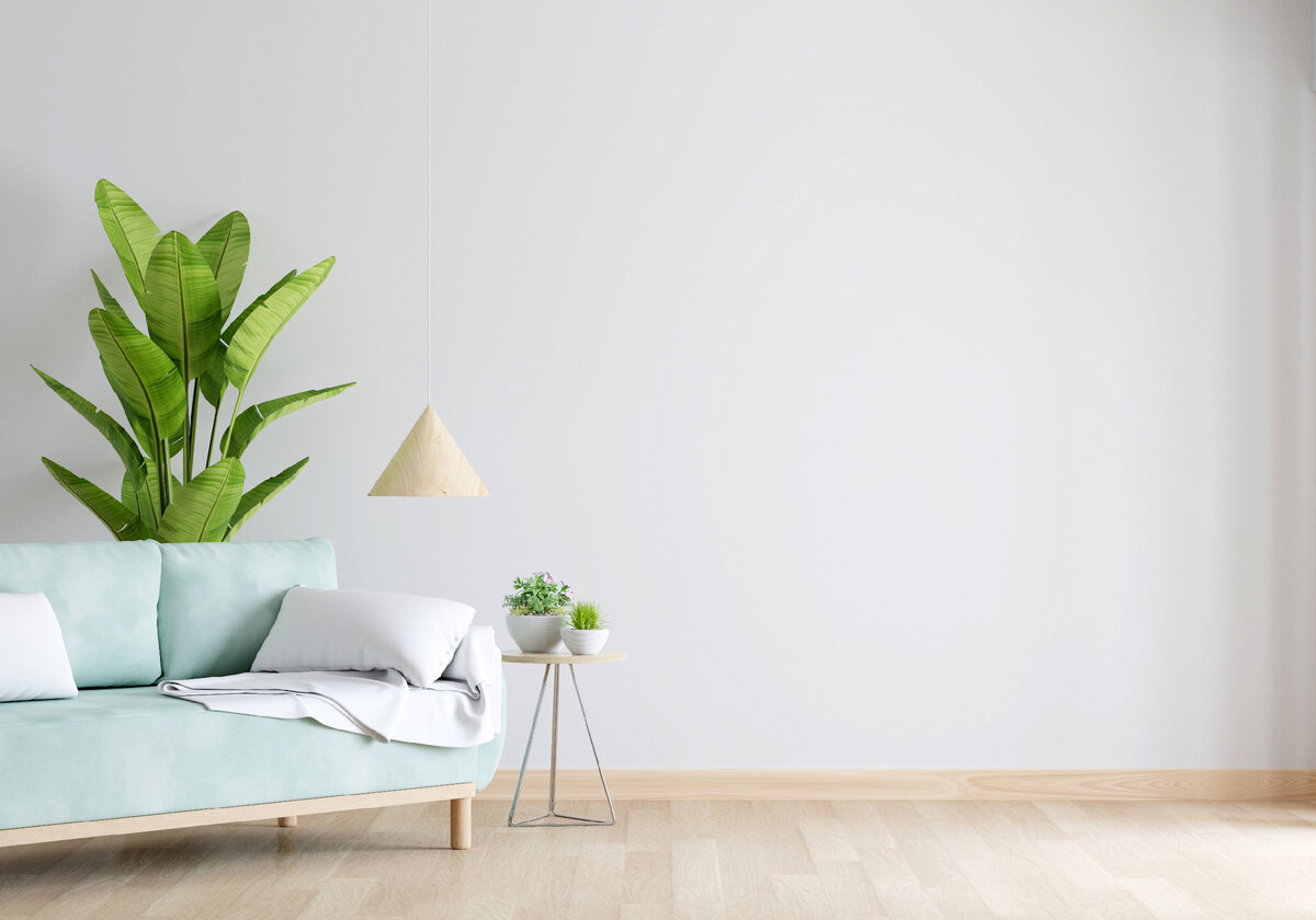 <a href="https://ru.freepik.com/free-photo/green-sofa-in-white-living-room-with-free-space_19703425.htm#&position=1&from_view=undefined">Изображение от wuttichai1983</a> на Freepik