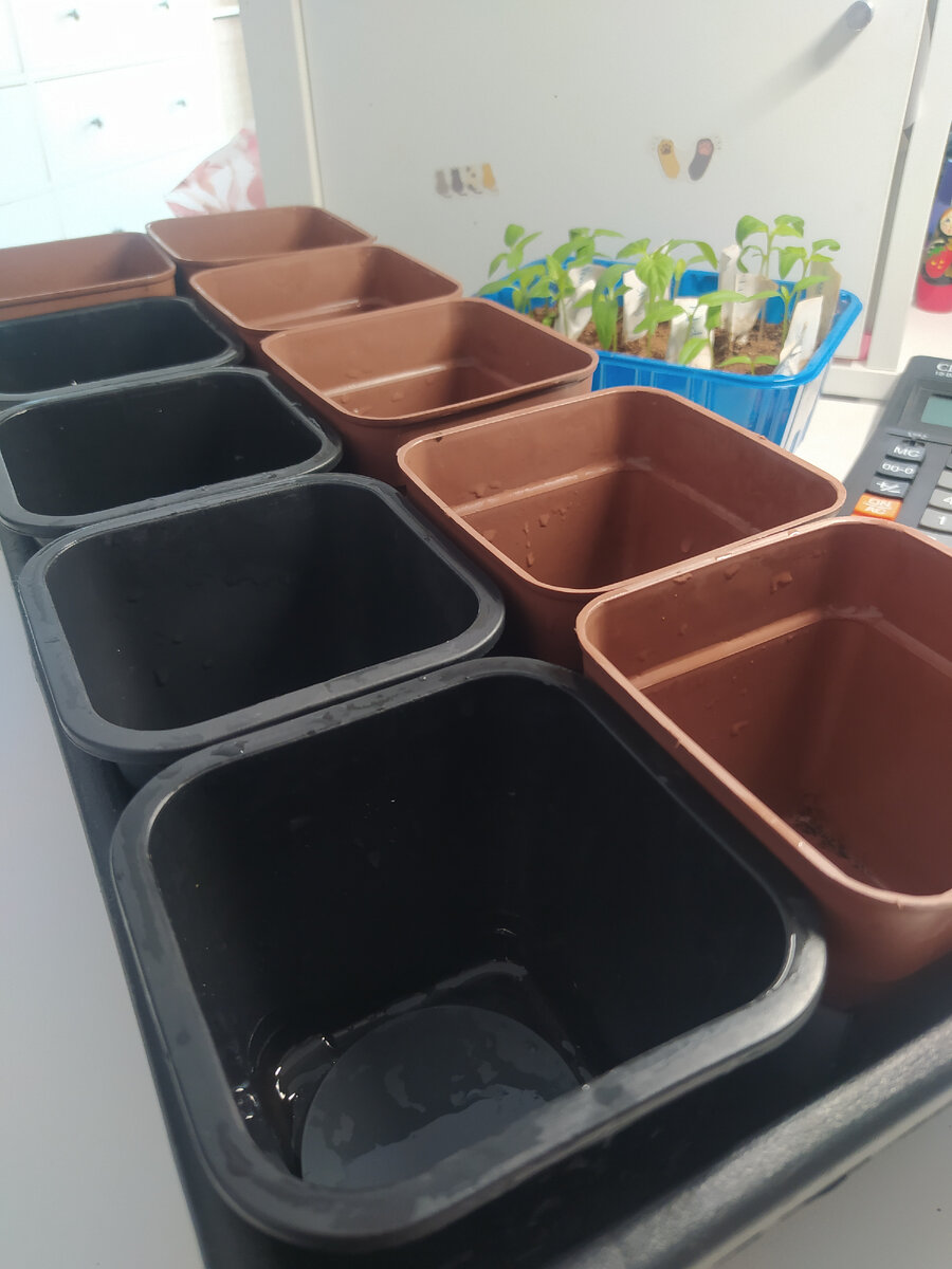 на фото горшочки, купленные в разное время