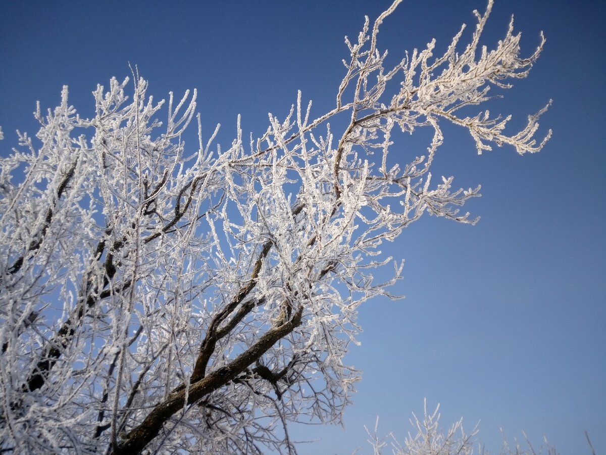 Pin on Paysages d'hiver 2