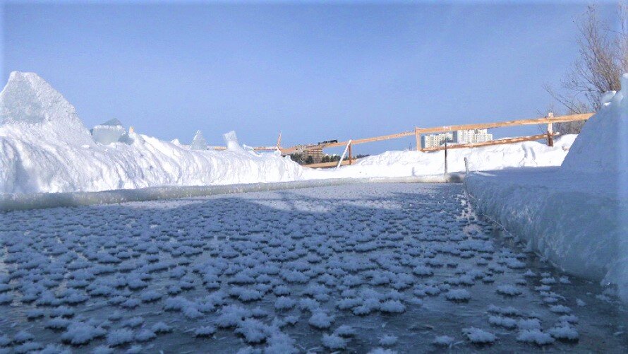    Сургутских «моржей» может потеснить масштабная застройка территорий