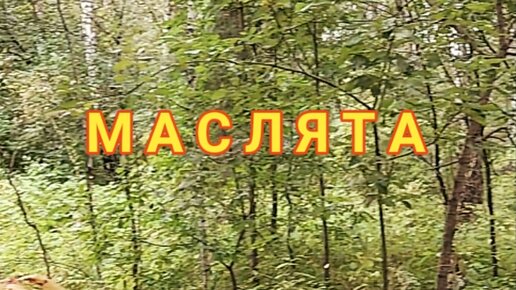 МАСЛЯТА. Сериал 