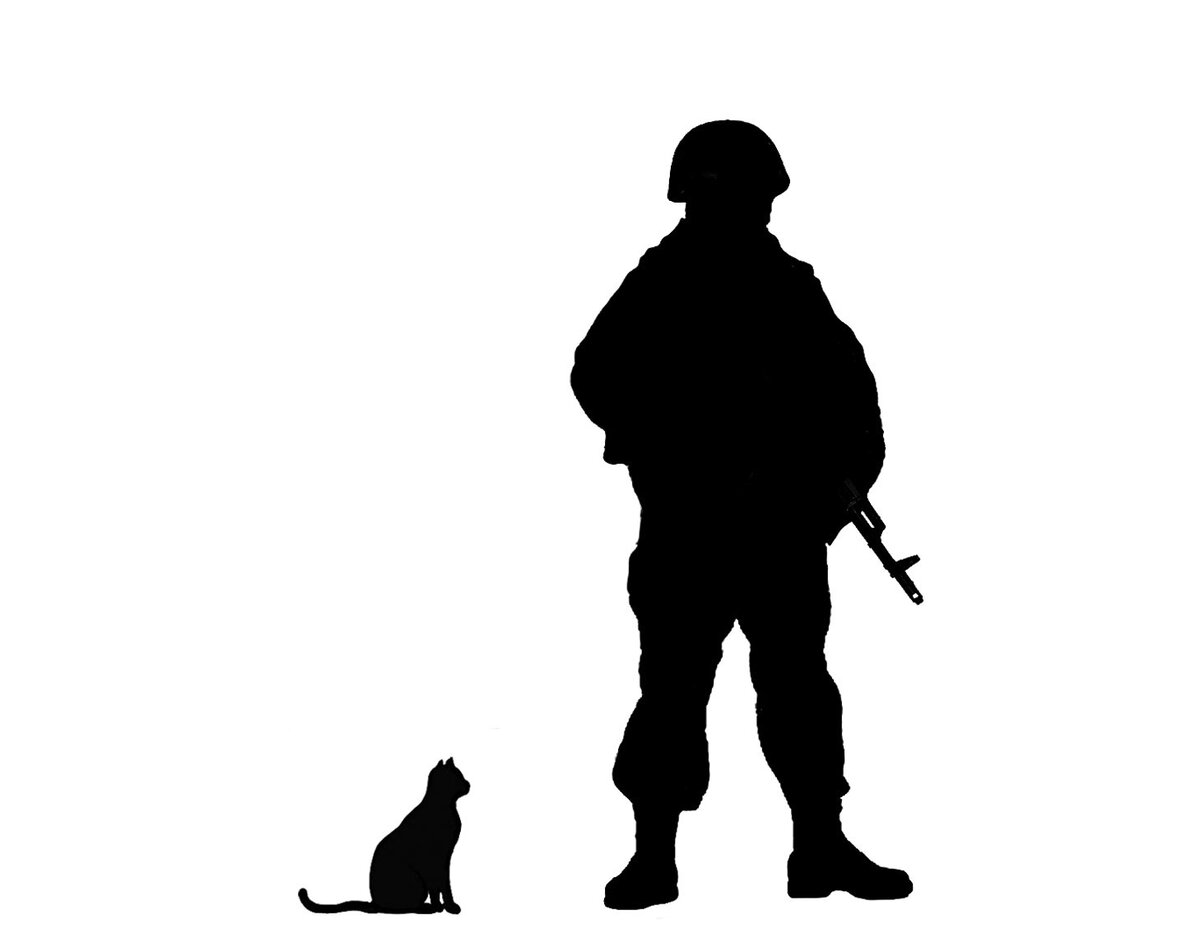 Фото Яндекс картинки 