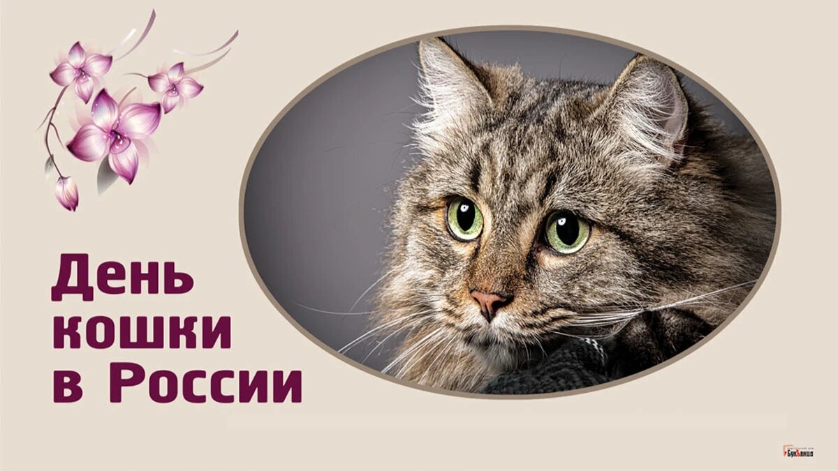 1 марта день кошек в россии