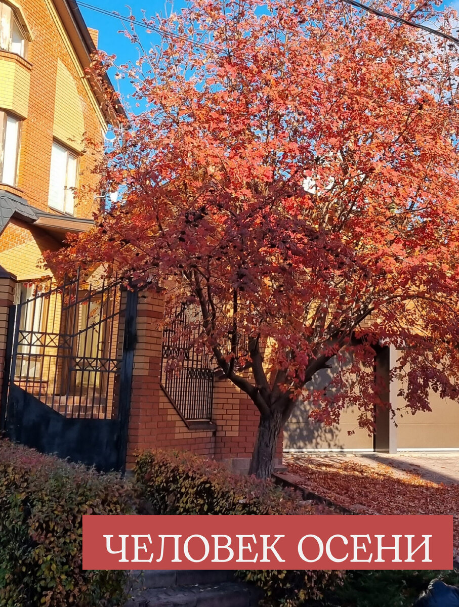 Рассказ "Человек осени". Часть 1