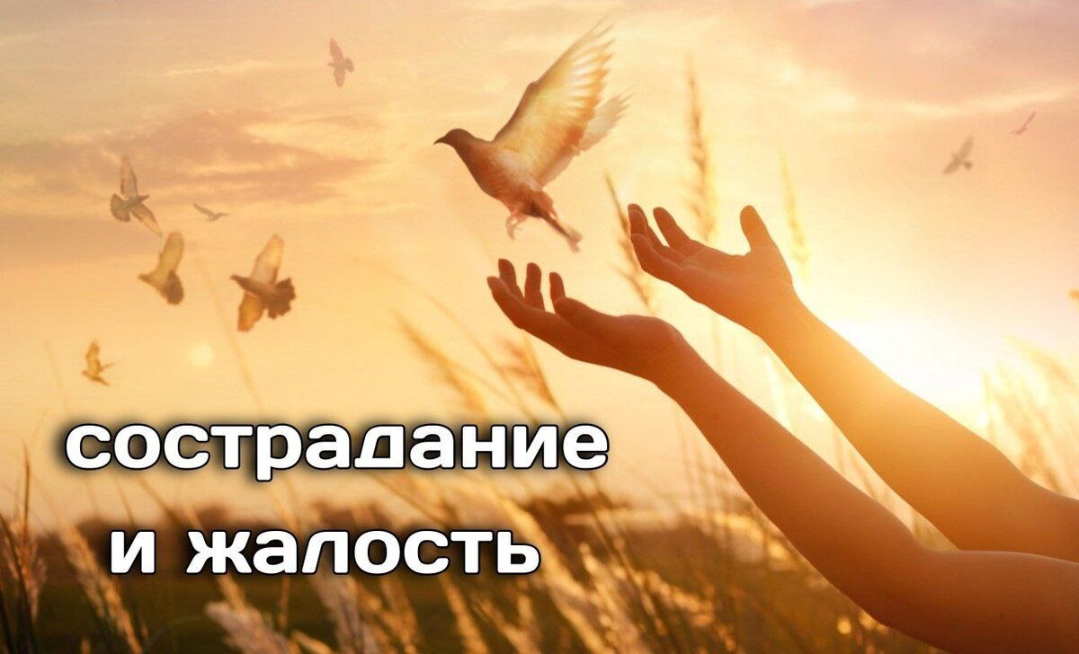 Как избежать перегрузки эмоций при сопереживании