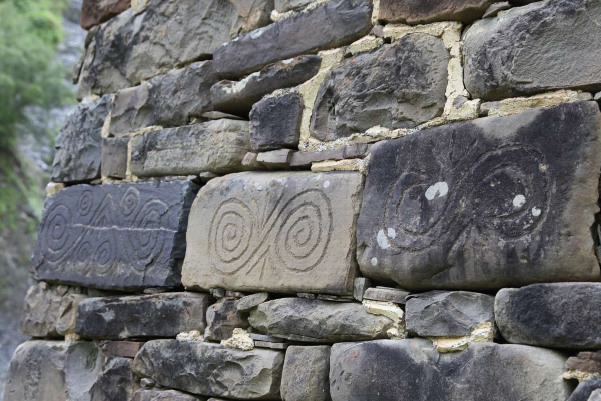 Фото из личного архива Лечи Ильясова 
