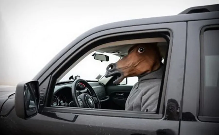 Фото: kaifolog.ru 
