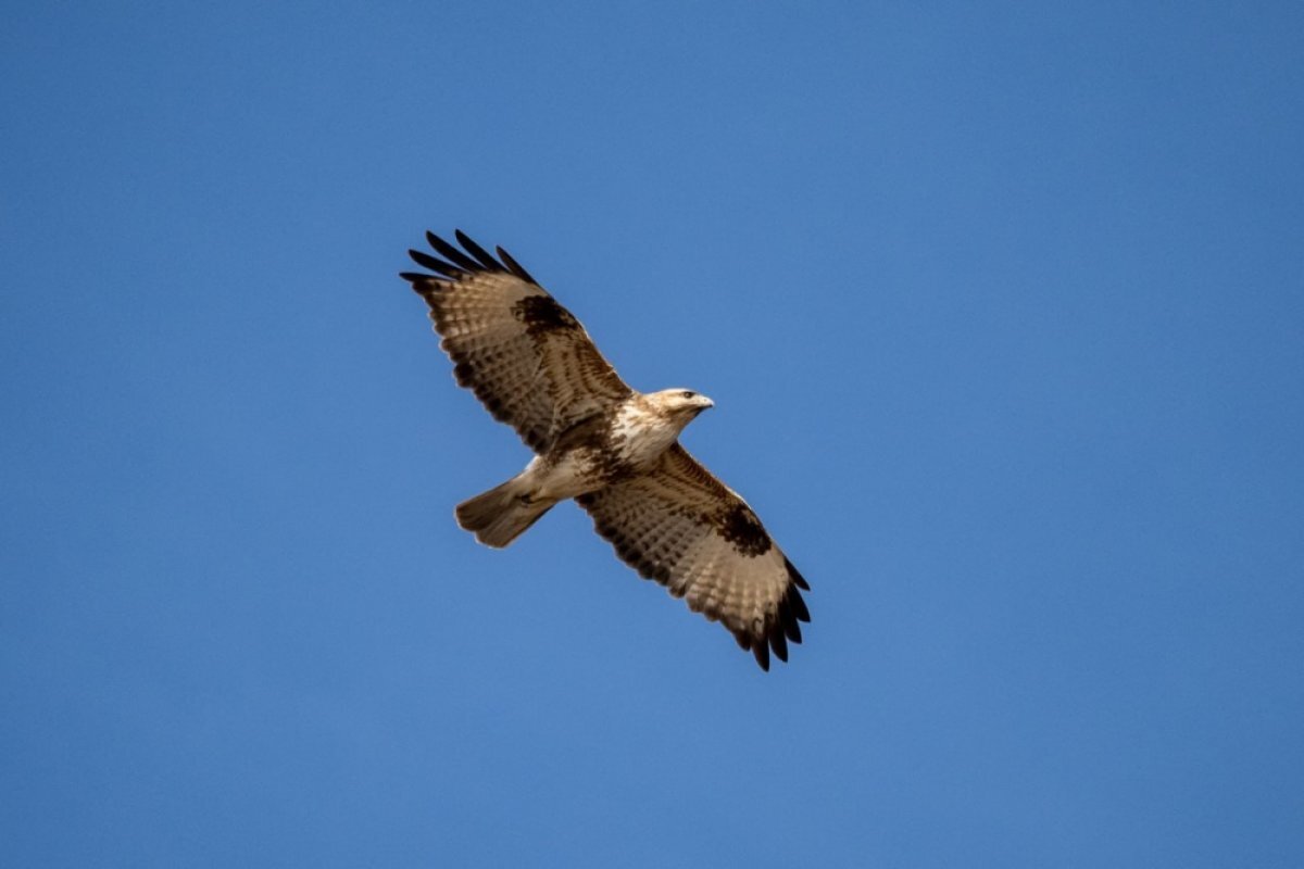    Власти Бурятии рассказали, чего ждут от поправок в закон о Байкале