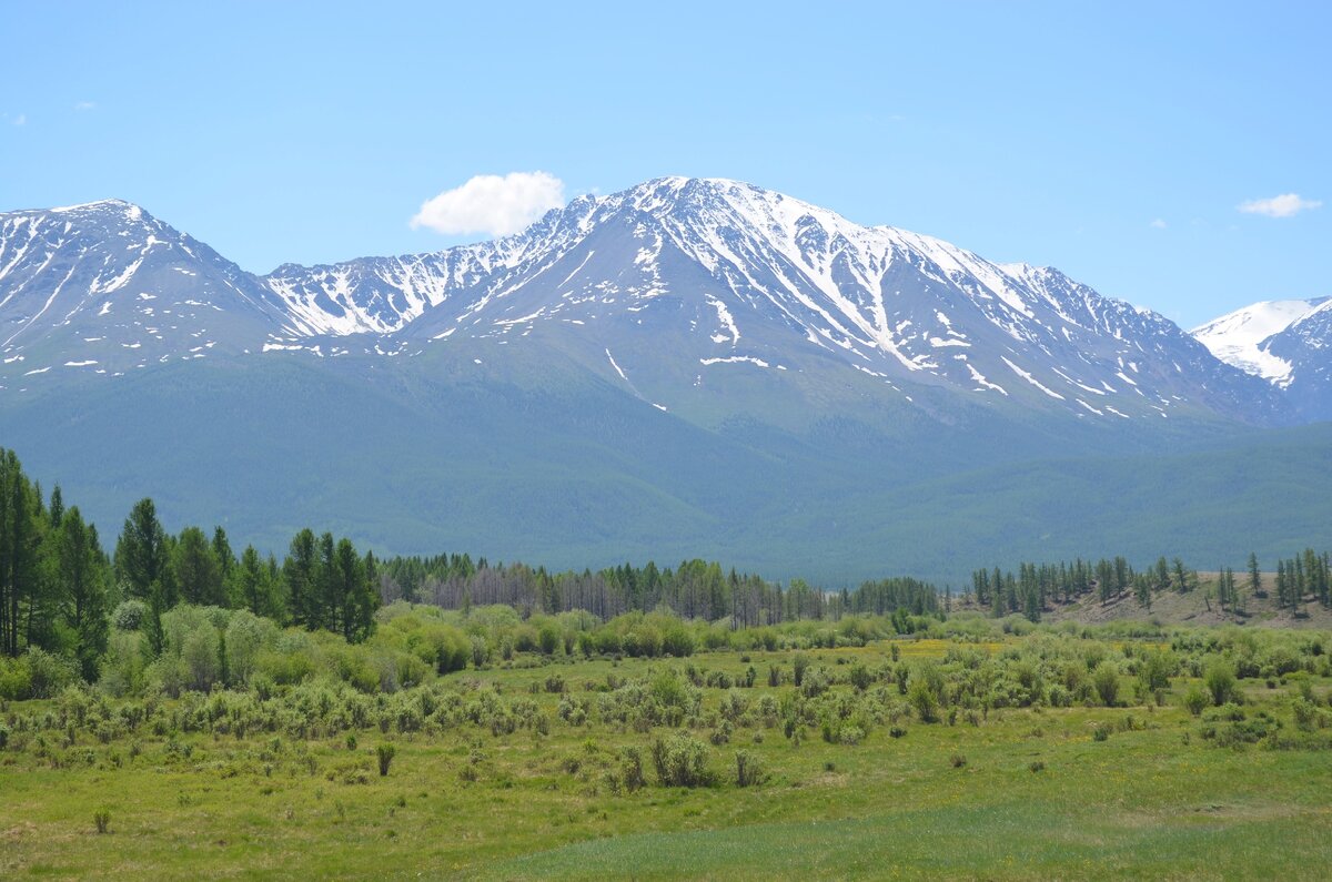 В Курайской степи. Фото автора