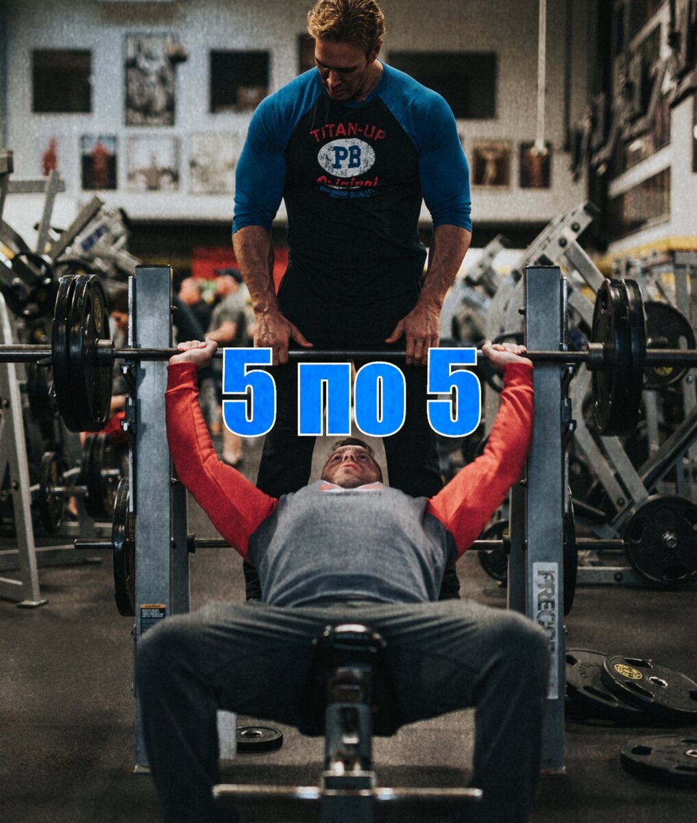 Источник: https://unsplash.com