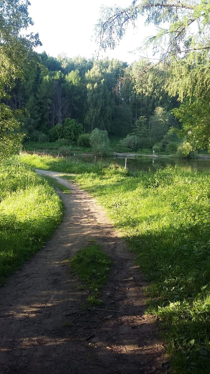 Личное фото автора