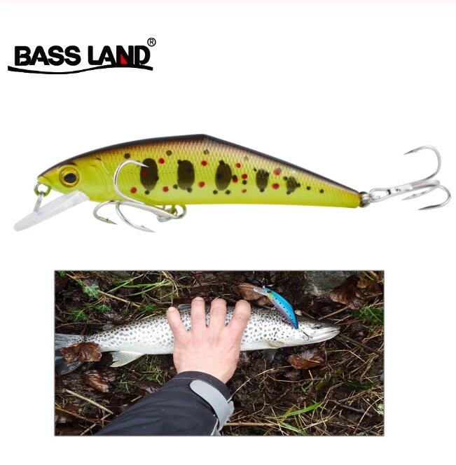 воблер Bass Land http://ali.pub/4v8h8v
