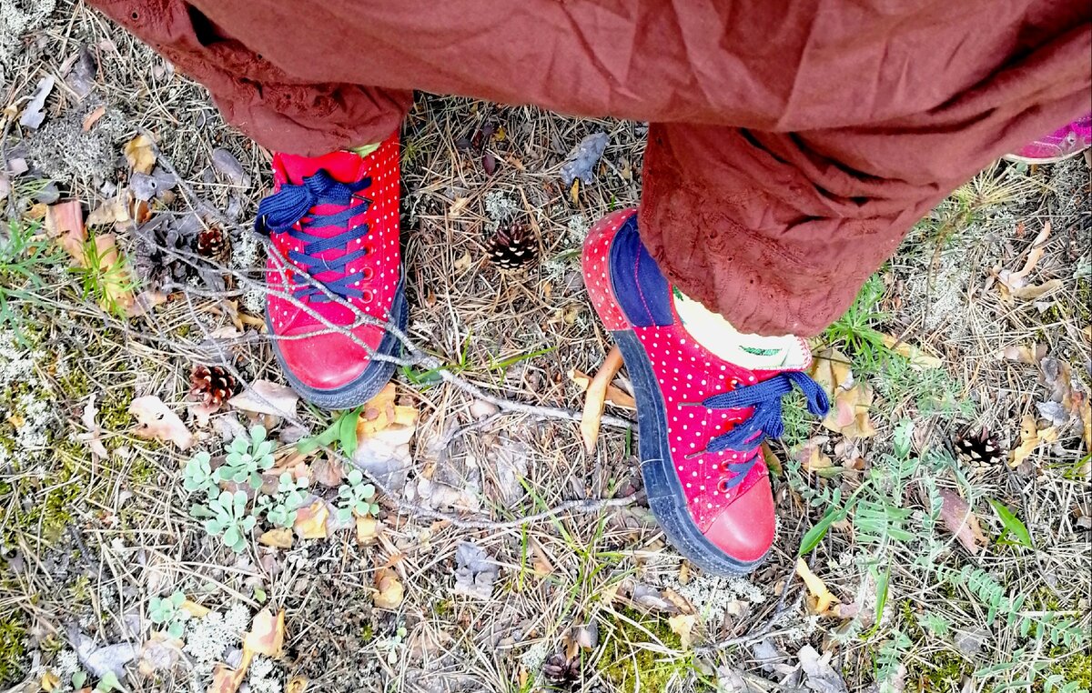 Мои любимые