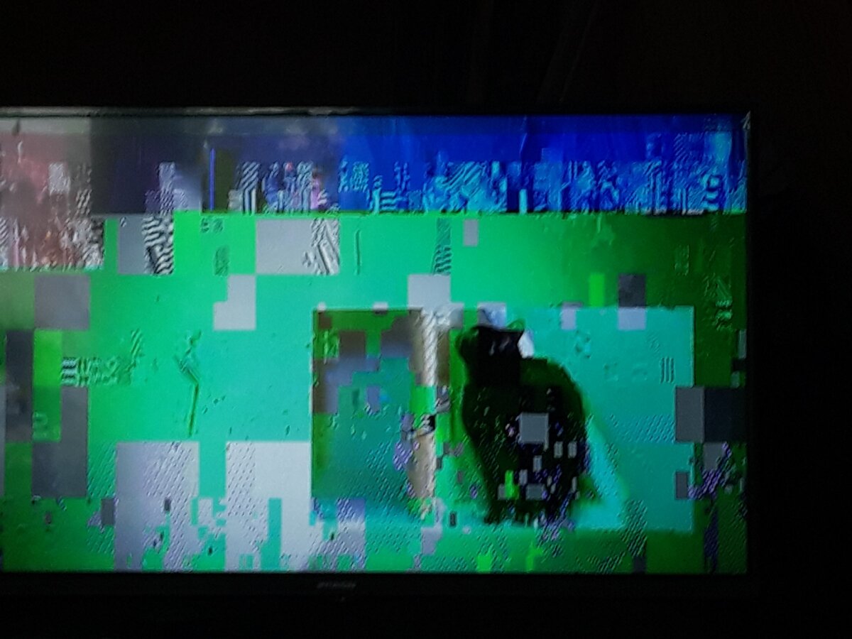 Фото моей знакомой, опубликовано с её согласия.