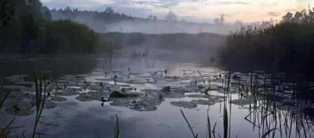 Озеро в тумане