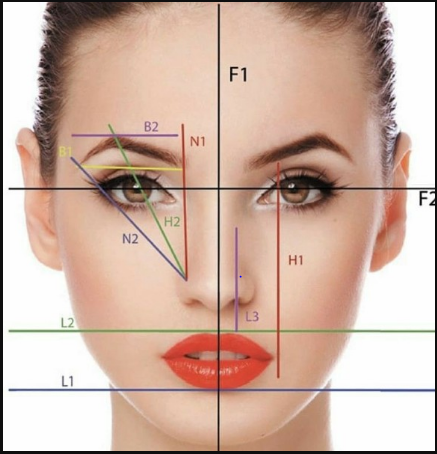 взято из интернета